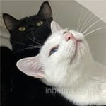 Avatar de Florencia Armenta